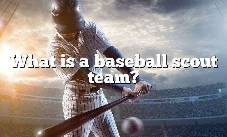 What is a baseball scout team?