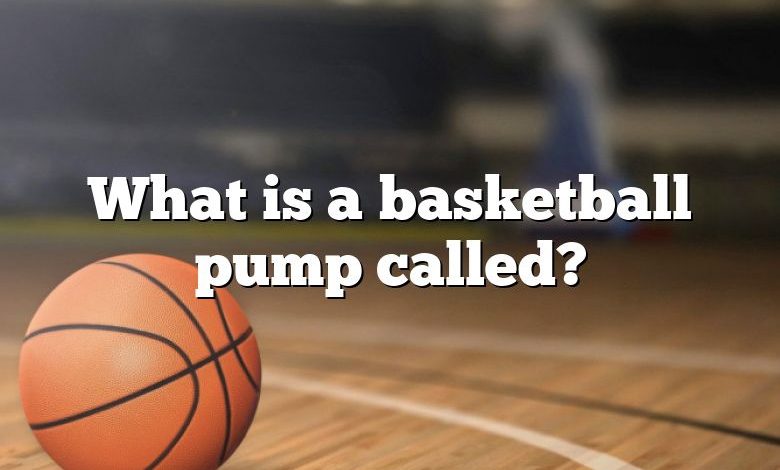 What is a basketball pump called?