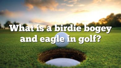 What is a birdie bogey and eagle in golf?