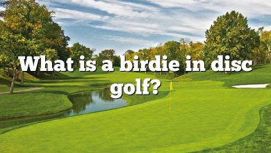 What is a birdie in disc golf?