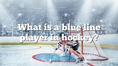 What is a blue line player in hockey?