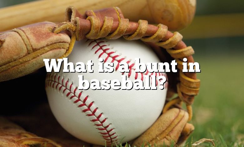 What is a bunt in baseball?