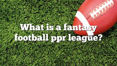 What is a fantasy football ppr league?