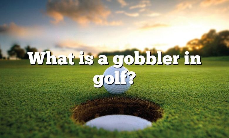 What is a gobbler in golf?