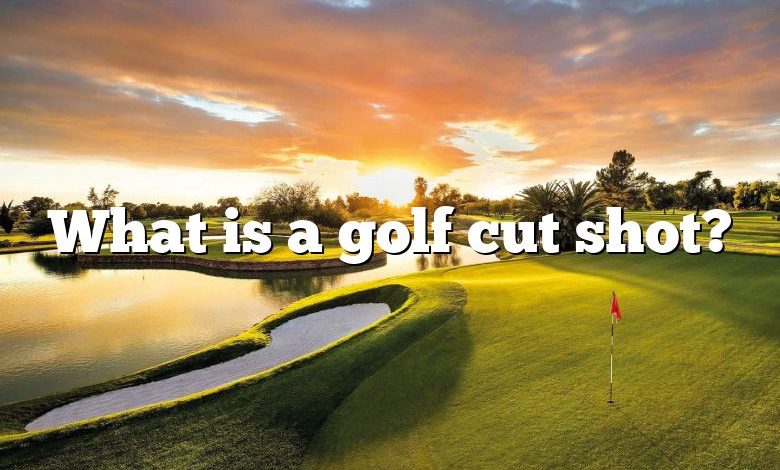 What is a golf cut shot?