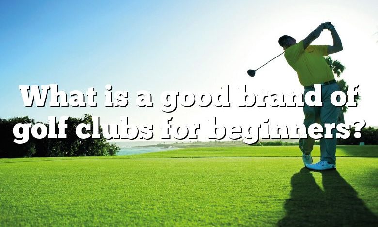 What is a good brand of golf clubs for beginners?