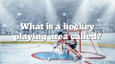 What is a hockey playing area called?