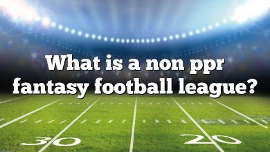 What is a non ppr fantasy football league?