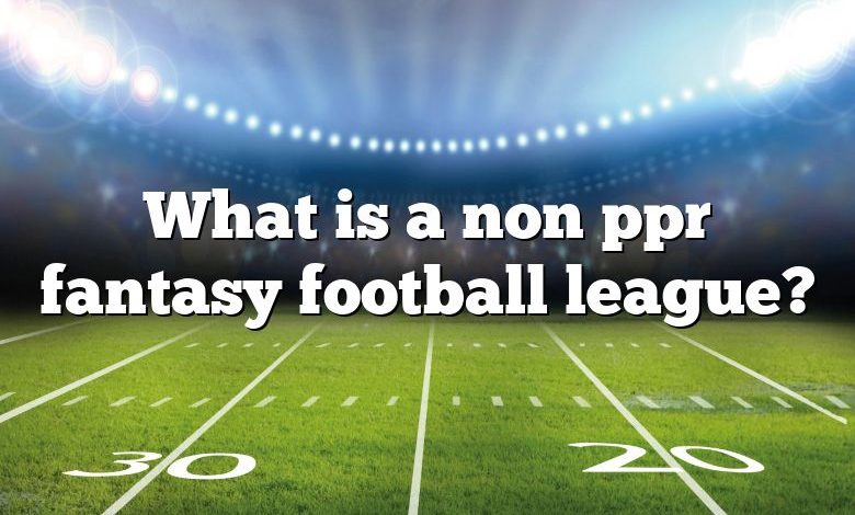 What is a non ppr fantasy football league?