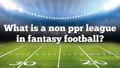 What is a non ppr league in fantasy football?