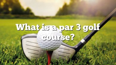 What is a par 3 golf course?