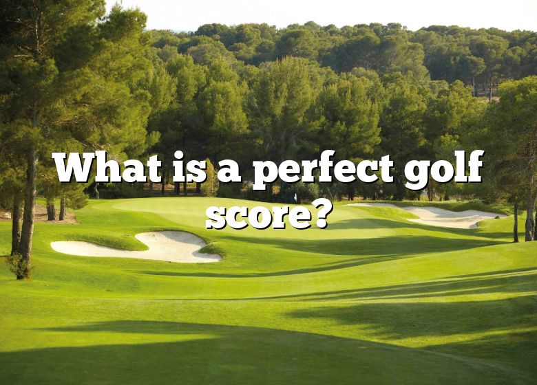 what-is-a-perfect-golf-score-dna-of-sports