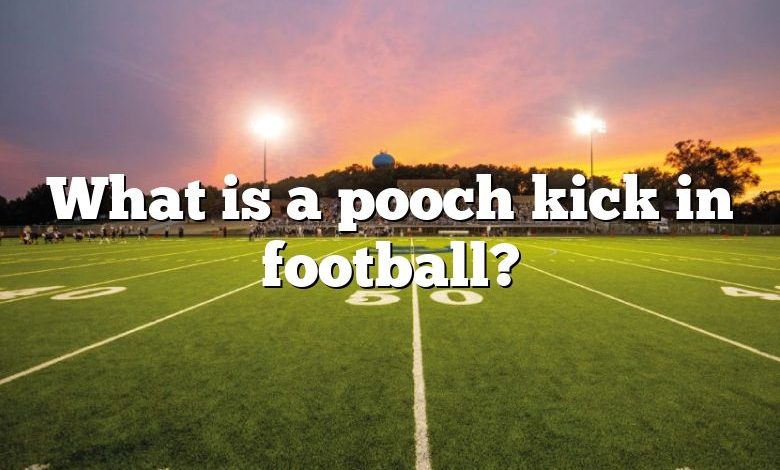 What is a pooch kick in football?