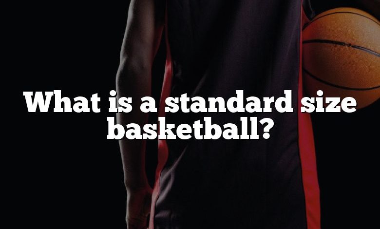 What is a standard size basketball?