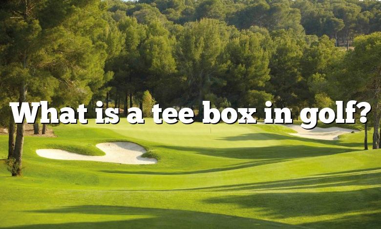 What is a tee box in golf?