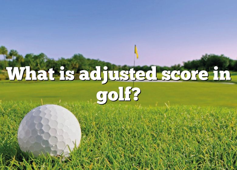 what-is-adjusted-score-in-golf-dna-of-sports