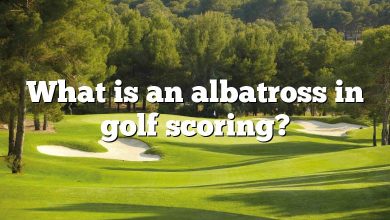 What is an albatross in golf scoring?