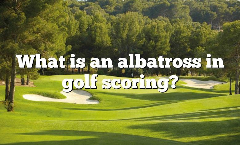 What is an albatross in golf scoring?