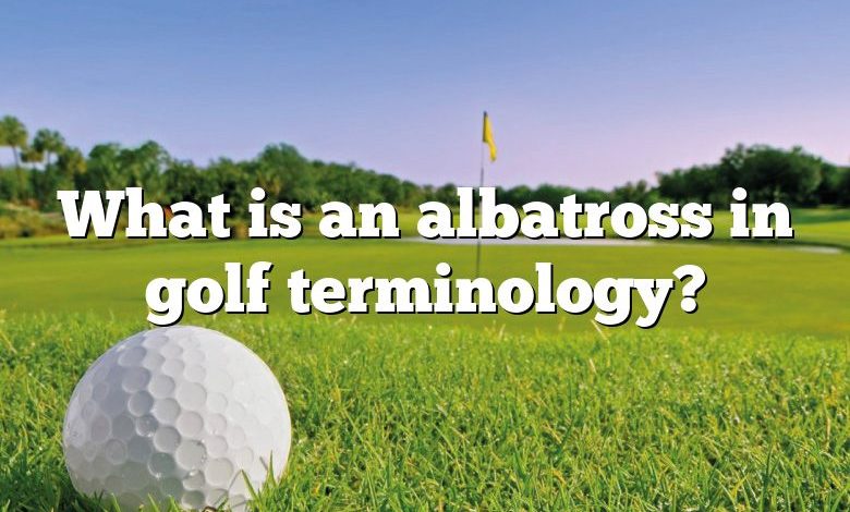 What is an albatross in golf terminology?