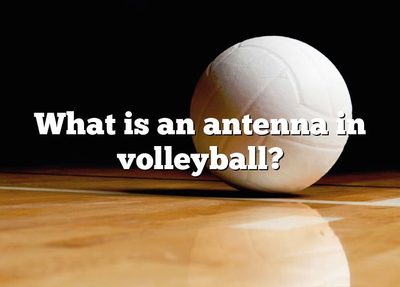 What Is An Antenna In Volleyball? DNA Of SPORTS