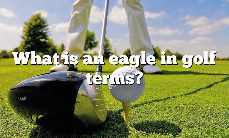 What is an eagle in golf terms?