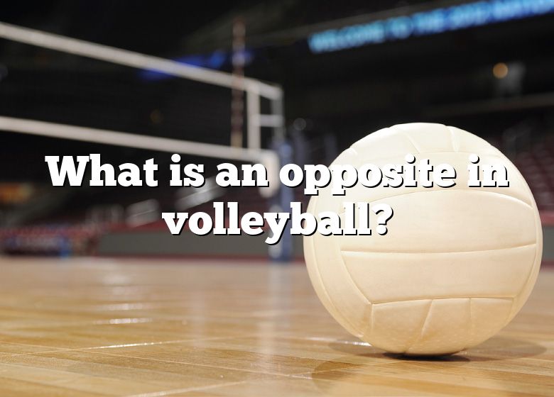 what-is-an-opposite-in-volleyball-dna-of-sports