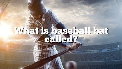 What is baseball bat called?