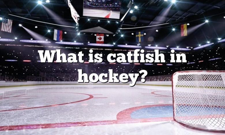 What is catfish in hockey?