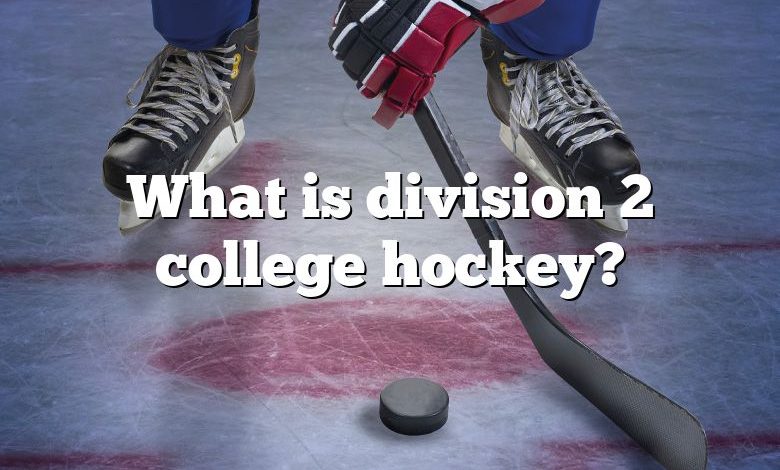 What is division 2 college hockey?