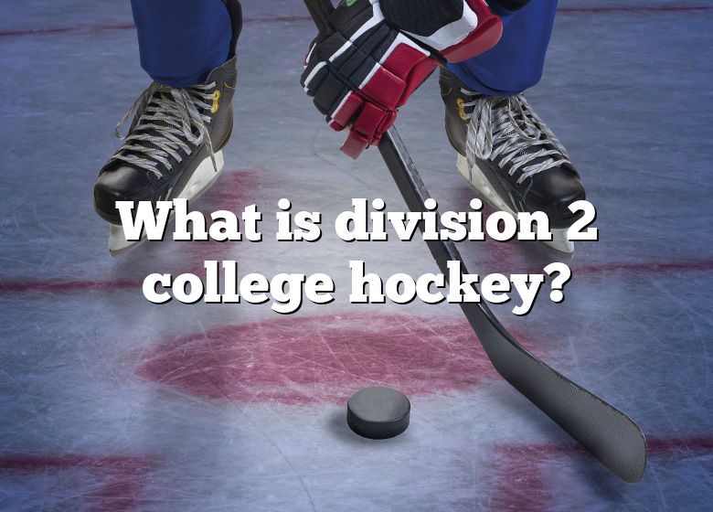 what-is-division-2-college-hockey-dna-of-sports