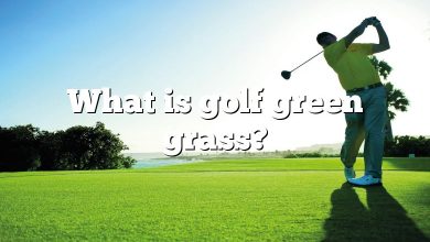 What is golf green grass?