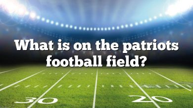 What is on the patriots football field?