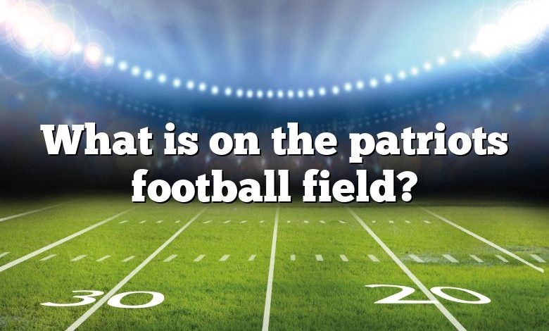 What is on the patriots football field?