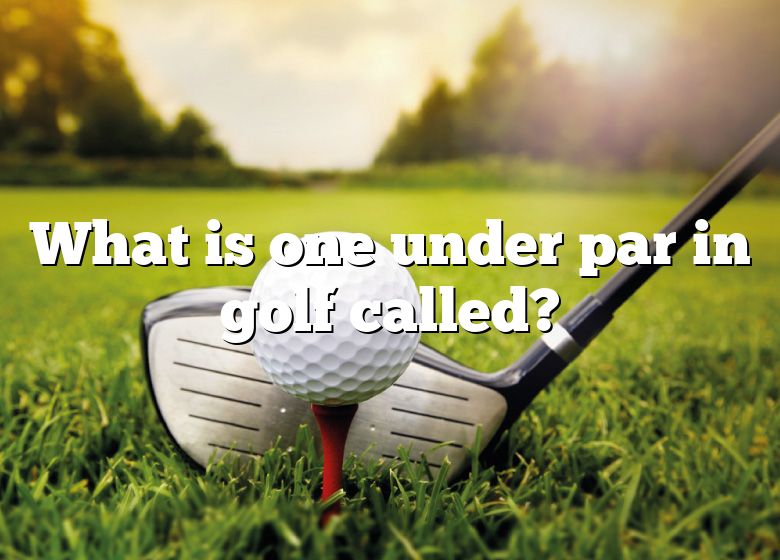 What Is One Under Par In Golf Called? | DNA Of SPORTS