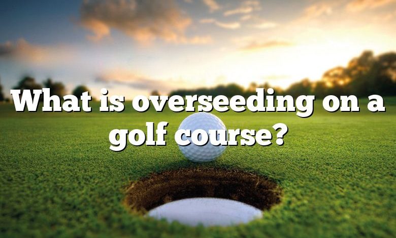 What is overseeding on a golf course?