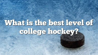 What is the best level of college hockey?