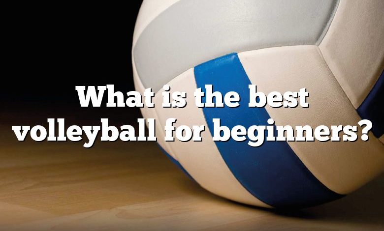 What is the best volleyball for beginners?