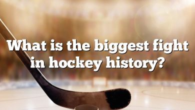 What is the biggest fight in hockey history?