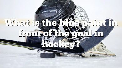 What is the blue paint in front of the goal in hockey?