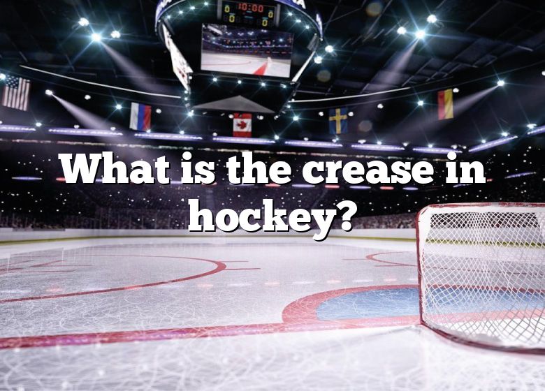 what-is-the-crease-in-hockey-dna-of-sports