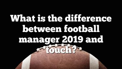 What is the difference between football manager 2019 and touch?