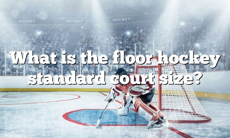 What is the floor hockey standard court size?