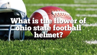 What is the flower of ohio state football helmet?