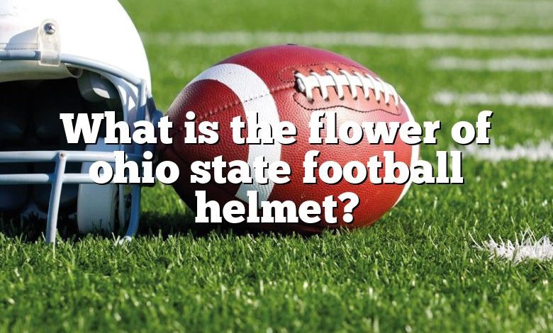 What is the flower of ohio state football helmet?