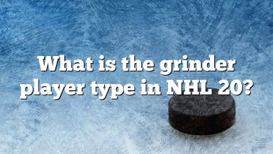 What is the grinder player type in NHL 20?