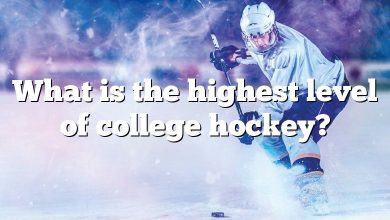 What is the highest level of college hockey?