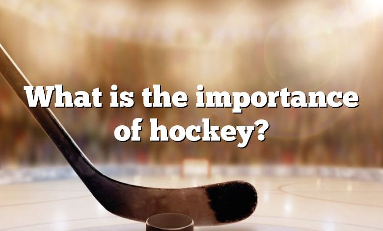 What is the importance of hockey?