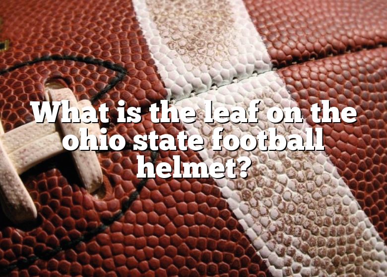 what-is-the-leaf-on-the-ohio-state-football-helmet-dna-of-sports