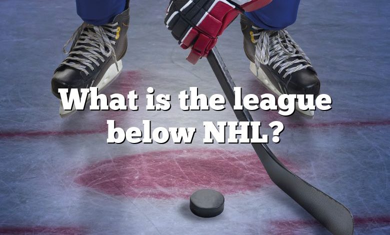 What is the league below NHL?