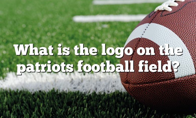 What is the logo on the patriots football field?